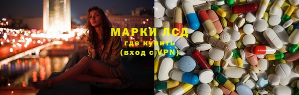 стафф Арсеньев