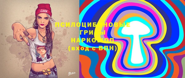 стафф Арсеньев