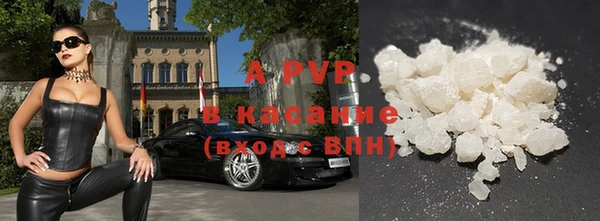 стафф Арсеньев