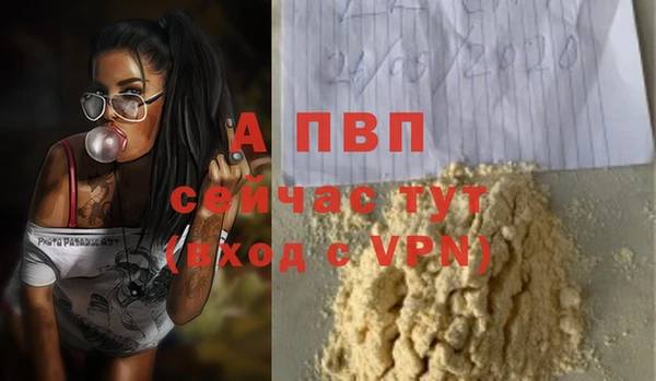 стафф Арсеньев