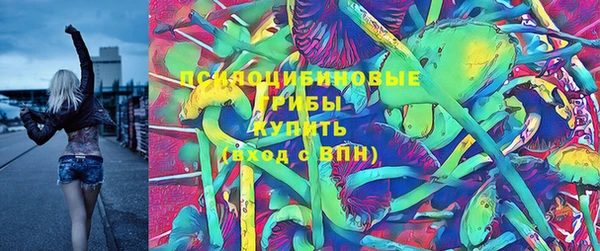 стафф Арсеньев